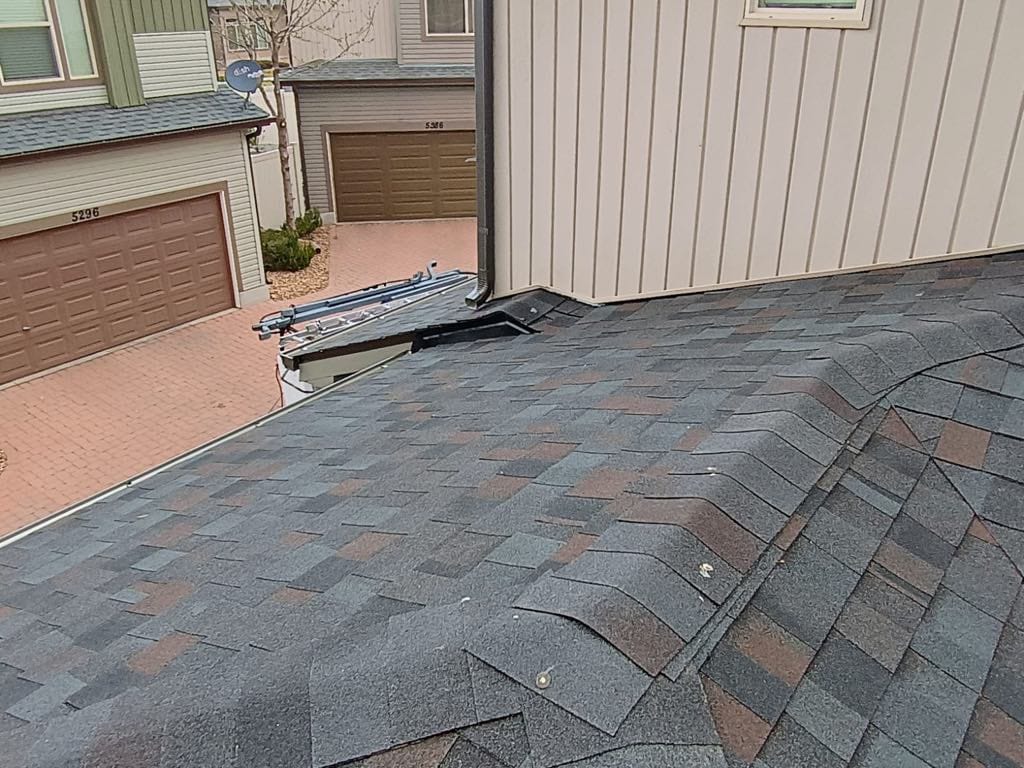 Roof Gallery Image